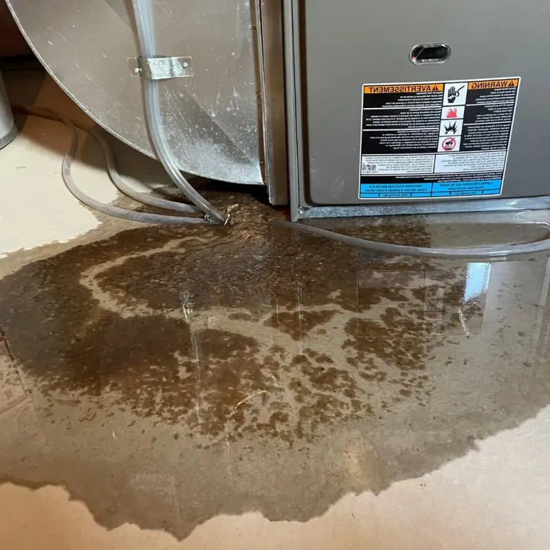 Pipe Burst and Leak Restoration in Lawrenceburg, TN