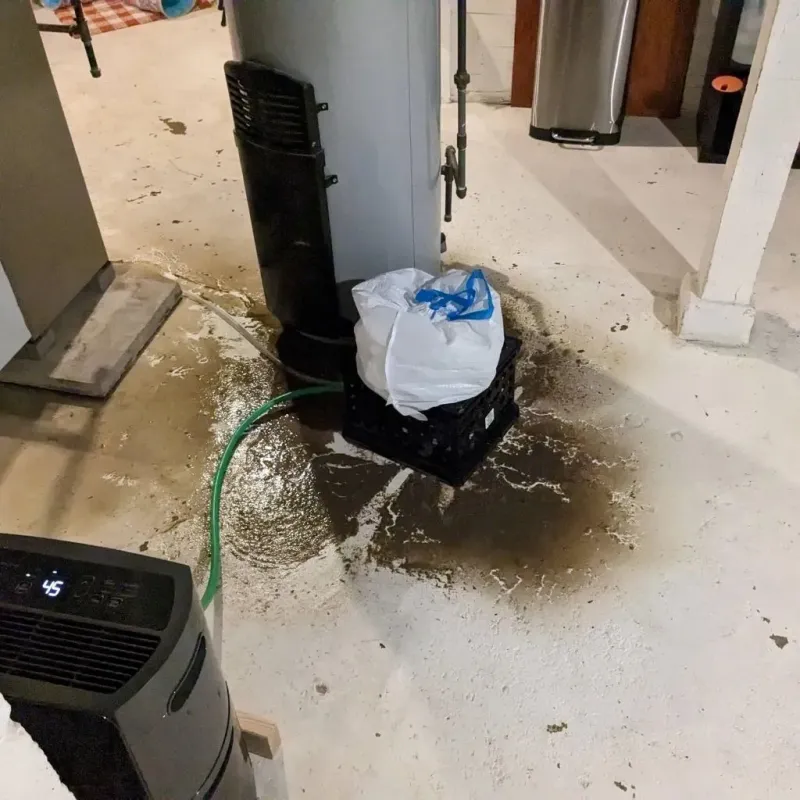 Sewage Backup Cleanup Service in Lawrenceburg, TN